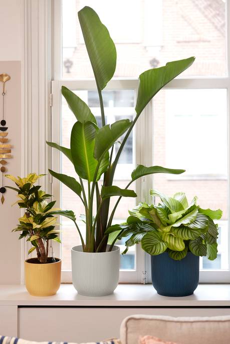 vibes fold rund 18cm seidenweiß